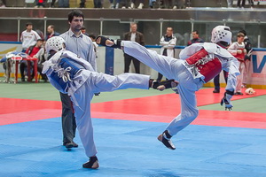 Taekwondo Competition «Cup of the Brest Fortress»