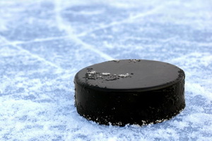 International tournament in ice hockey «Friendship Cup»