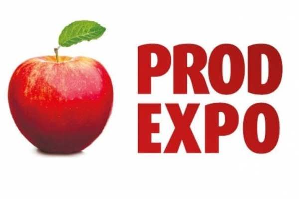 Exhibition «Prodexpo-2019» 