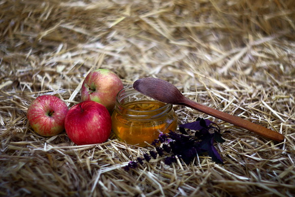 Фестиваль «Яблочный Спас» 