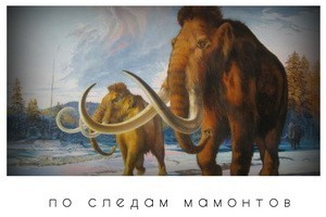 In the footsteps of mammoths
