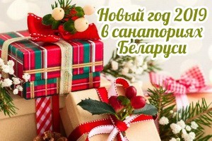New Year 2019 in the health resorts of Belarus