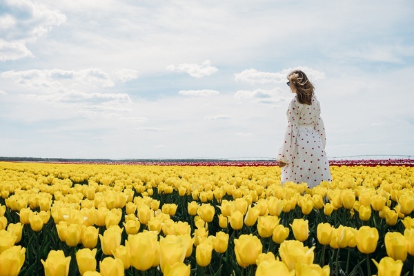 Exсursion to the tulip fields